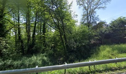 Nicolas Le Cordonnier, Cordonnier à Guémené-Penfao